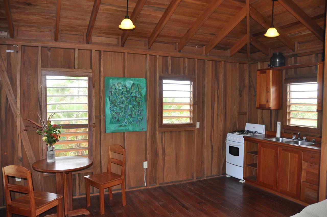 Sabal Beach Hotel Monkey River Town Room photo