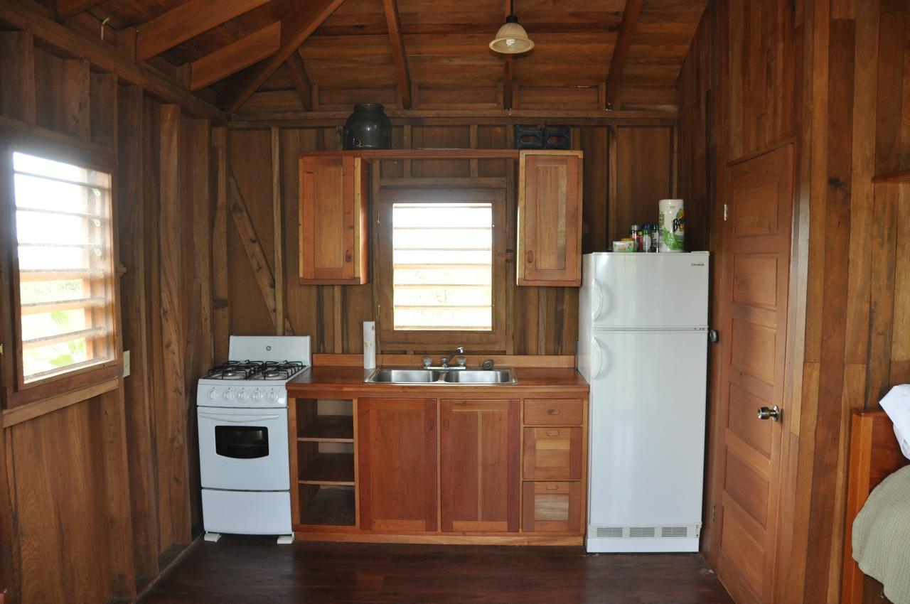 Sabal Beach Hotel Monkey River Town Room photo