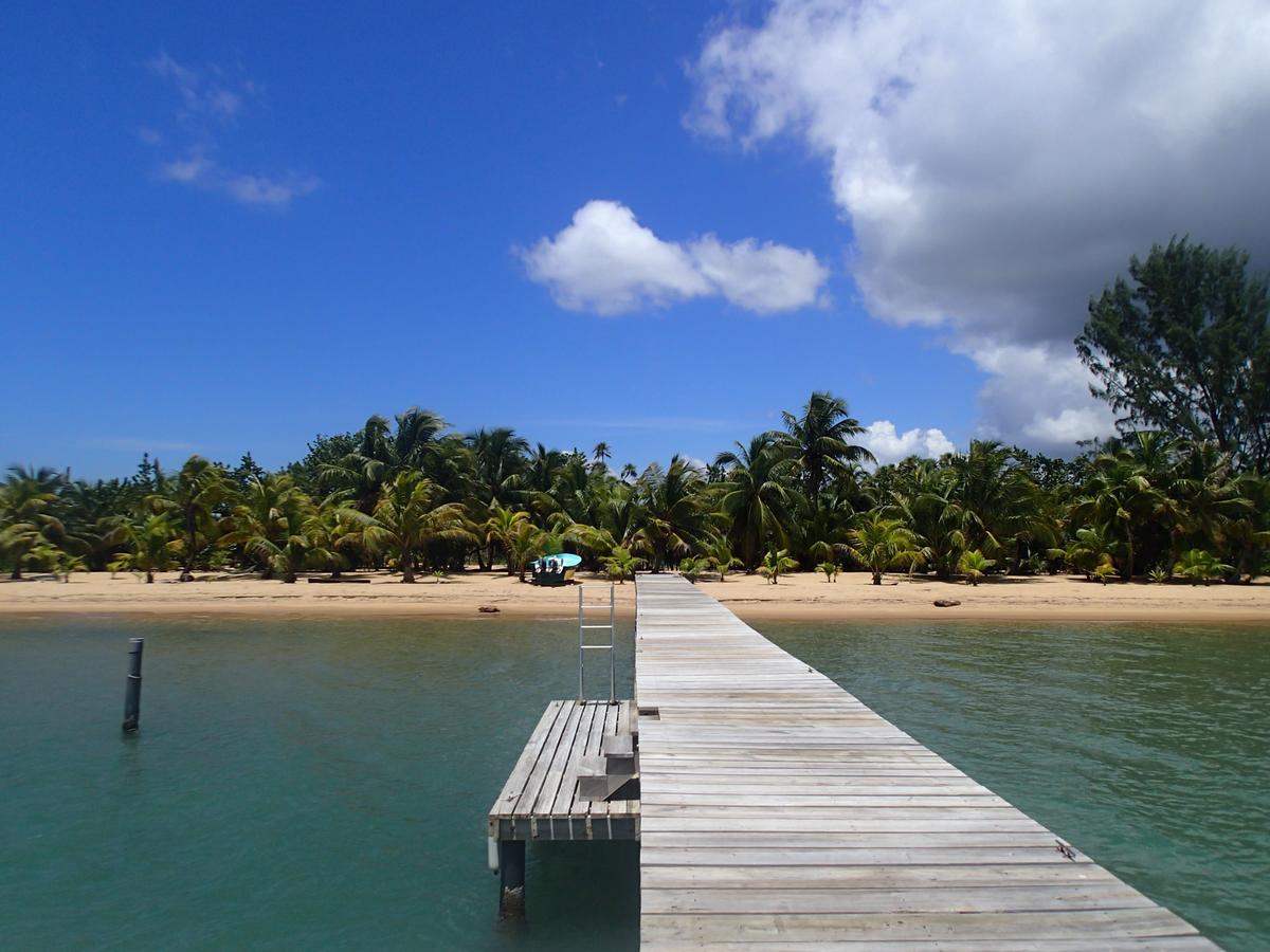 Sabal Beach Hotel Monkey River Town Exterior photo
