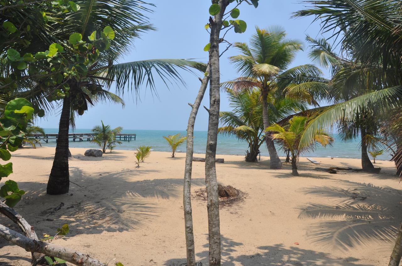 Sabal Beach Hotel Monkey River Town Exterior photo