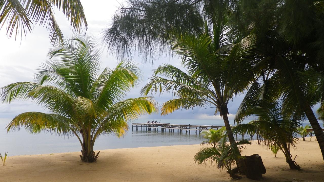 Sabal Beach Hotel Monkey River Town Exterior photo