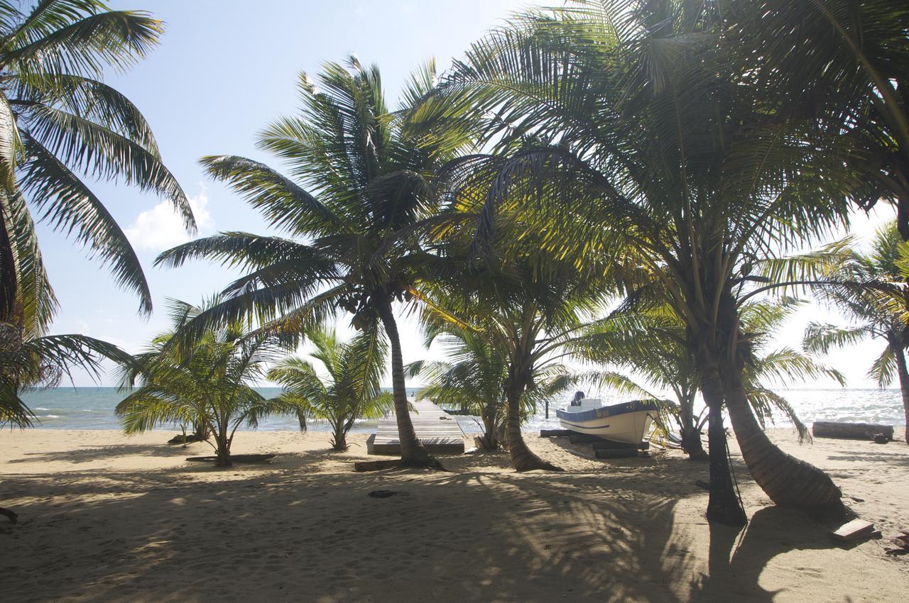 Sabal Beach Hotel Monkey River Town Exterior photo