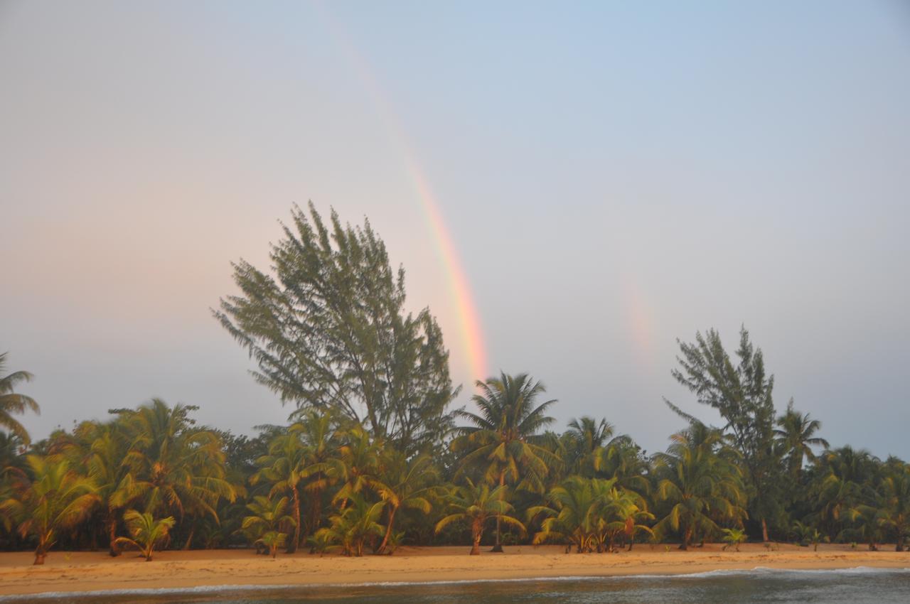 Sabal Beach Hotel Monkey River Town Exterior photo